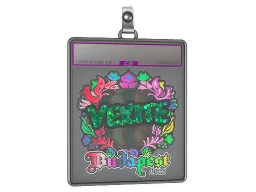 Sticker Slab | vexite (Holo) | Budapest 2025