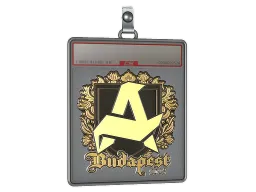 Sticker Slab | Aurora (Gold) | Budapest 2025