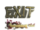 Sticker | exit (Gold) | Shanghai 2024