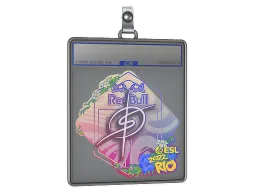 Sticker Slab | degster | Rio 2022