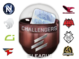 Challengers (Holo/Foil) - CS2 Skin Prices