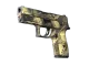 P250 | Contamination CS2 skin