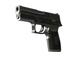 StatTrak™ P250 | Cartel (Battle-Scarred)