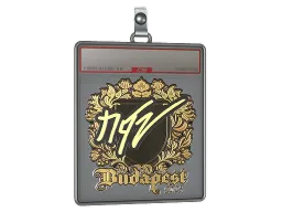 Sticker Slab | NQZ (Gold) | Budapest 2025