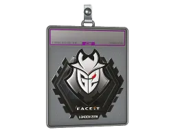 Sticker Slab | G2 Esports (Foil) | London 2018