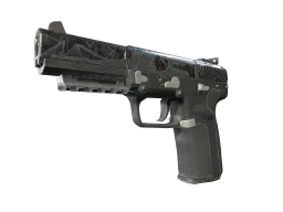 Five-SeveN | Silver Quartz (Well-Worn)