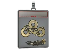 Sticker Slab | interz (Gold) | Antwerp 2022