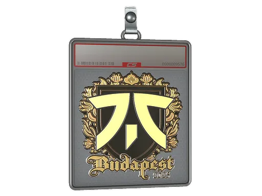 Sticker Slab | fnatic (Gold) | Budapest 2025