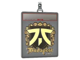 Sticker Slab | fnatic (Gold) | Budapest 2025
