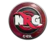 Sticker | NRG | Katowice 2019 CS2 skin