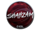Sticker | ShahZaM (Foil) | Katowice 2019