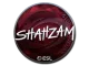 Sticker | ShahZaM | Katowice 2019 CS2 skin