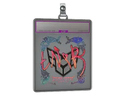 Sticker Slab | tN1R (Holo) | Austin 2025