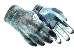 ★ Sport Gloves | Frosty (Factory New)