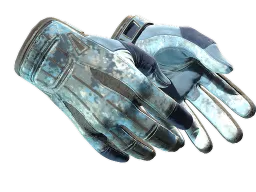 ★ Sport Gloves | Frosty