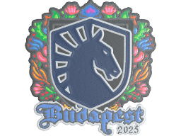 Sticker | Team Liquid (Embroidered) | Budapest 2025