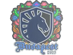Sticker | Team Liquid (Embroidered) | Budapest 2025