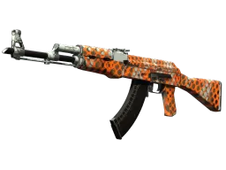 AK-47 | Safety Net (Well-Worn)