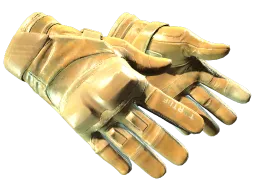 ★ Moto Gloves | Transport CS2 skin
