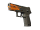 StatTrak™ P250 | Splash (Field-Tested)