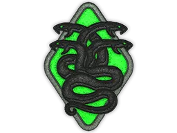 Patch | Hydra CS2 skin