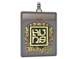 Sticker Slab | The Huns (Gold) | Budapest 2025