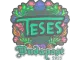 Sticker | TeSeS (Embroidered) | Budapest 2025 CS2 skin