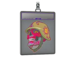 Sticker Slab | Max (Holo)