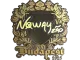 Sticker | noway (Gold) | Budapest 2025 CS2 skin