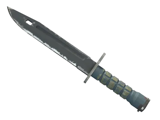 ★ StatTrak™ Bayonet | Night (Field-Tested)