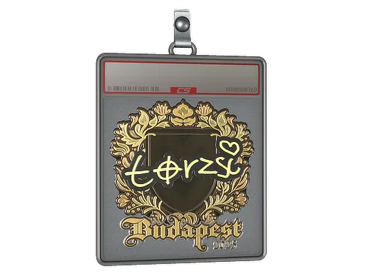 Sticker Slab | torzsi (Gold) | Budapest 2025