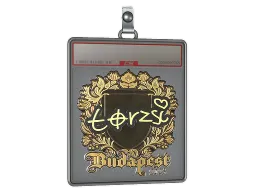 Sticker Slab | torzsi (Gold) | Budapest 2025