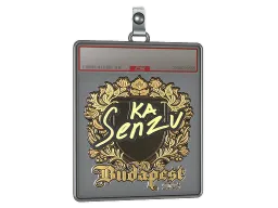 Sticker Slab | Senzu (Gold) | Budapest 2025
