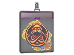 Sticker Slab | ENCE (Holo) | Rio 2022