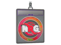 Sticker Slab | NRG (Holo) | Katowice 2019