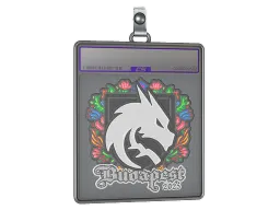 Sticker Slab | Team Spirit (Embroidered) | Budapest 2025