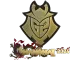 Sticker | G2 Esports (Gold) | Shanghai 2024 CS2 skin