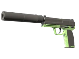 USP-S | Para Green CS2 skin