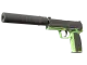 USP-S | Para Green
