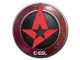 Sticker | Astralis | Katowice 2019 CS2 skin