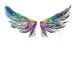 Sealed Graffiti | Wings