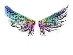 Sealed Graffiti | Wings