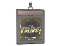 Sticker Slab | Lucaozy (Gold) | Austin 2025