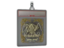 Sticker Slab | EmiliaQAQ (Gold) | Austin 2025