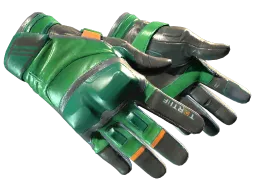 ★ Moto Gloves | Turtle (Minimal Wear)