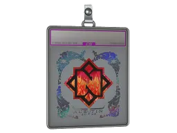 Sticker Slab | Nemiga (Holo) | Austin 2025