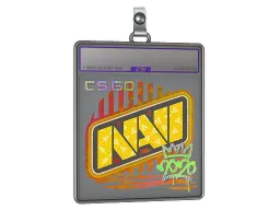 Sticker Slab | Natus Vincere (Holo) | 2020 RMR