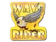Sticker | Fools Gold Wave Rider CS2 skin