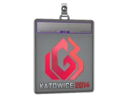 Sticker Slab | LGB eSports (Holo) | Katowice 2014