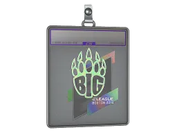 Sticker Slab | BIG (Holo) | Boston 2018